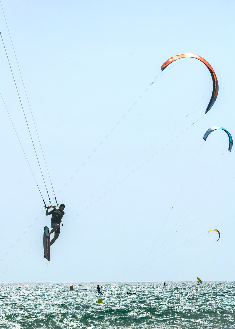 2025. FEBRERO. TEMA: 